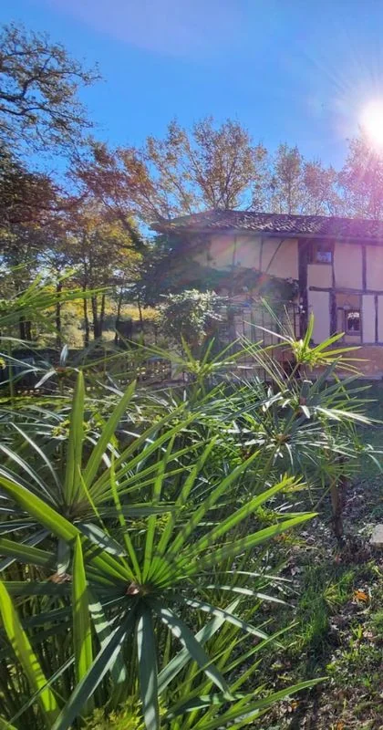 House behind the planted garden